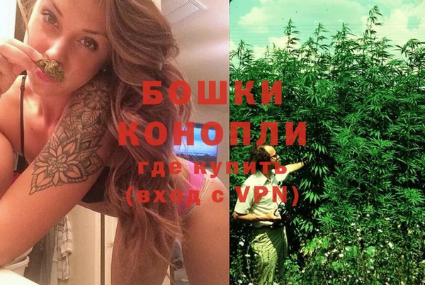 не бодяженный Богданович