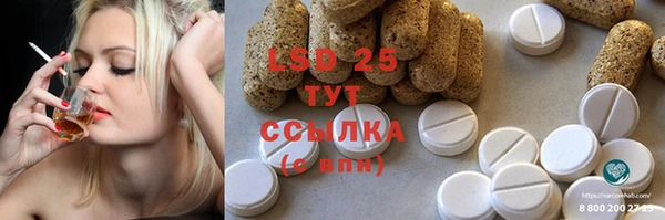 ГАЛЛЮЦИНОГЕННЫЕ ГРИБЫ Тихвин