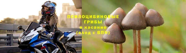 СК Тобольск