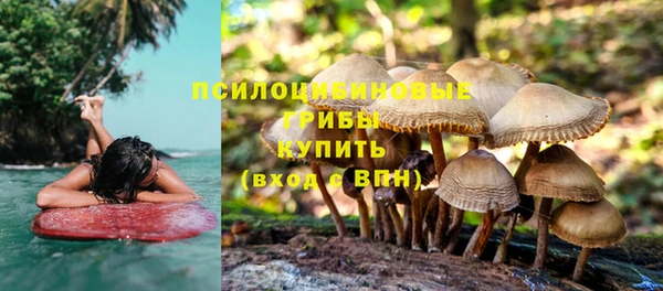 не бодяженный Богданович